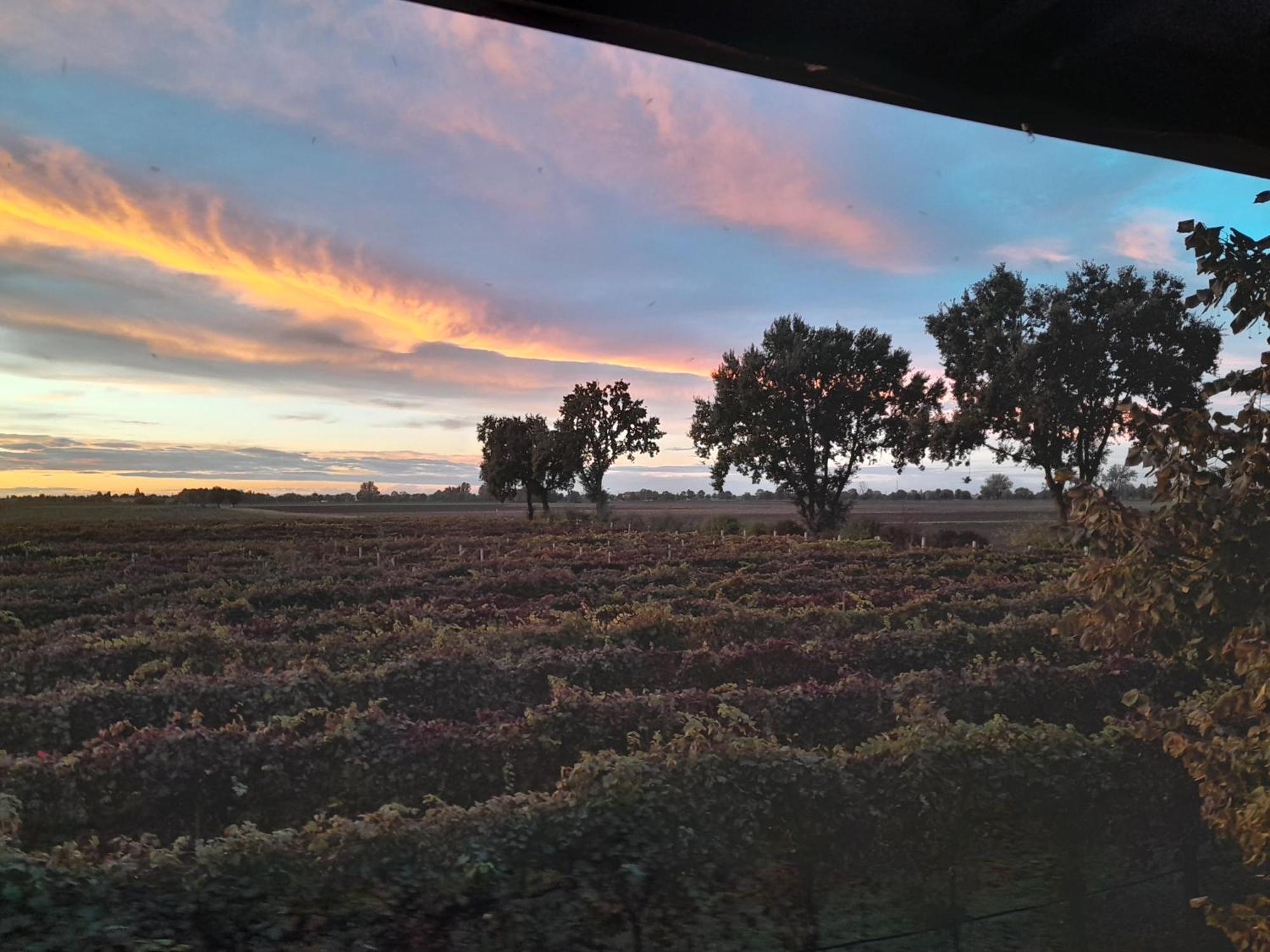 Agriturismo Casa Carpanelli Nonantola المظهر الخارجي الصورة