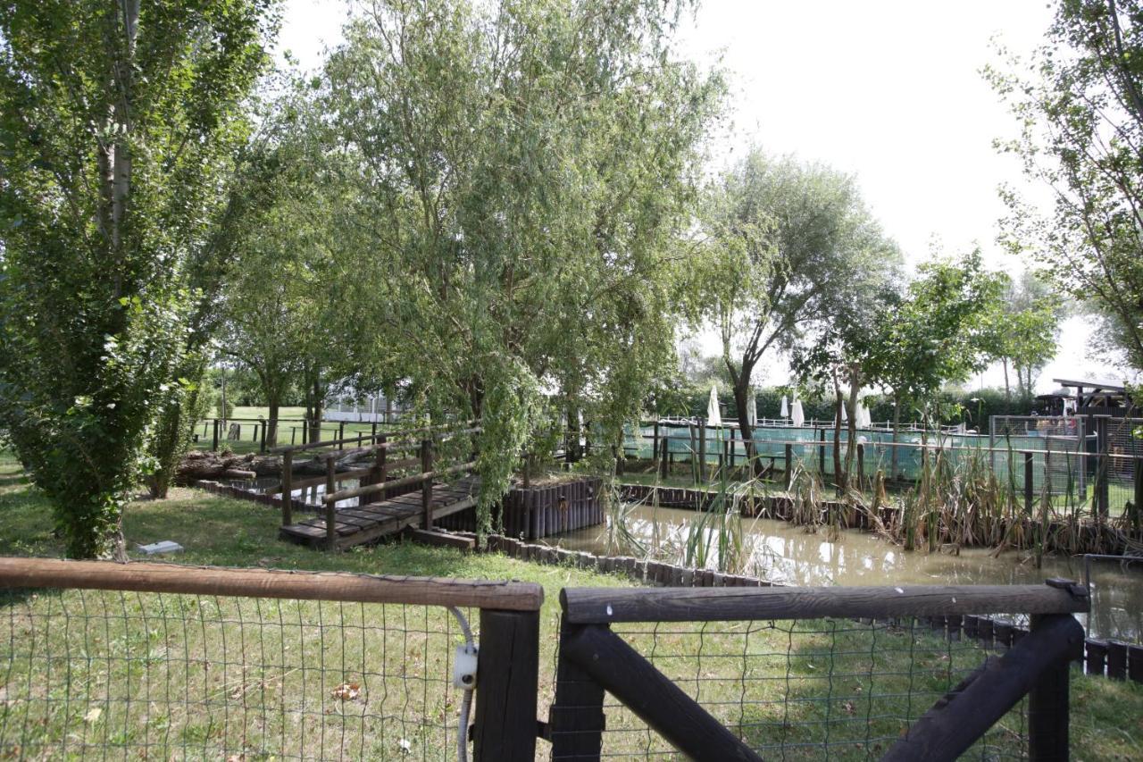 Agriturismo Casa Carpanelli Nonantola المظهر الخارجي الصورة